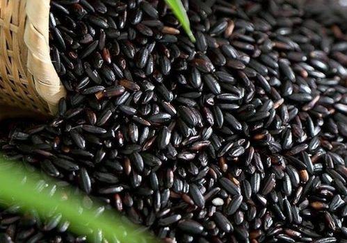 51朝阳吃瓜 黑料-今日黑料,今日黑料大揭秘